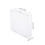 6Ud Caja De Plástico Transparente Con Bisagra Para Insectos 3