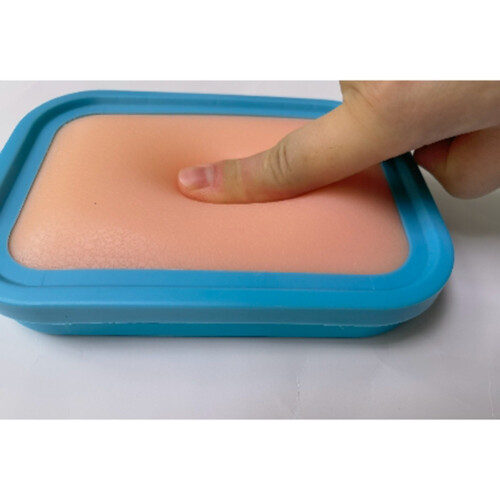 Acupuncture Skill Learning Practice Simulation Skin Model Acupuncture Training Bag Practice Board 2