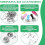 Shrink Plastic Sheet Kit W Blank Sheets Shrinky Art Paper, Colored Pencils, Keychains, Earring Hooks,for Crafting 3