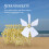 DIY Strandbeest Model Robot Met Plastic En Hout Voor Versiering 8