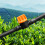 150Pcs 1/4Inch Pipe  Valve 4/7mm Hose Controller Barbed Adapter Agriculture Drip Irrigation Watering System Fitting 5