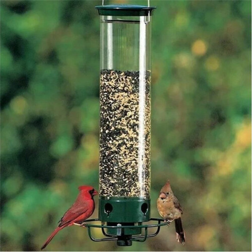 Proof Wild Bird Feeder with Weight Activated Rotating Perch - Seed Capacity 2