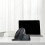 Ergonomic Small Mouse Rechargeable Dual-Mode Silent Wireless Mouse DPI Adjustable Office Mice for  PC Phone B 5