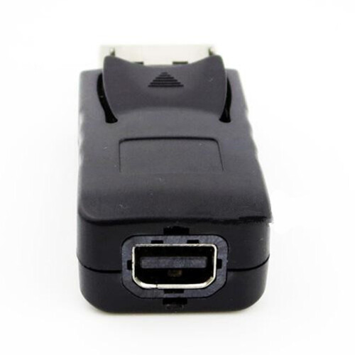 Female to  DP Female Adapter 2