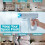 Professional K12  Sprayer with  Light, Fine Mist Atomizer, Cordless Rechargeable Handheld Sprayer for Home 5