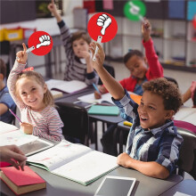30pcs Classroom Voting Paddles - Reusable Handheld Boards for Teachers and Students