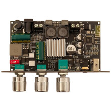 ZK-1001U 9-24V Mono 100W BT Módulo de Placa Amplificadora Suporta Chip Amplificador APP TPA3116D2 Soquete Fêmea 5,5 X 2,1 Portas