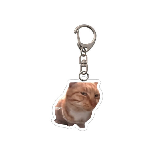 8pcs Cat Meme  Keychain,Funny Meme Image,Cat  Backpack Charm,for Nurses,Doctors,Students and Office Workers