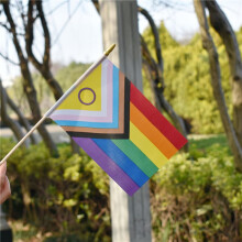 200 Pack Intersex Progress Gay Pride Stick Vlag Kleine Regenboog Hand Held LGBTQ Vlaggen, 5x8 Inch