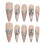 (S) Strong Natural Press-on Nails for Work & Parties 4
