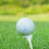 20 Pack 83mm Golf Tees for Accuracy & Distance 8