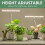Luz LED para plantas com 3 modos de luz e dimmer de 4 etapas 2