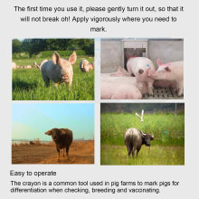 24-Piece Safe Animal Marking Kit