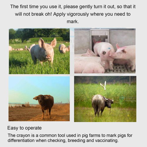 24-Piece Safe Animal Marking Kit