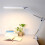 DeskLamp Adjustable Foldable Double Swing Arm Light Eye-Caring for Dormitory Study Office Architect Task Lamp Dimmable A 2