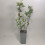 Aronia Nero 2L 2