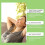 Mullein Leaf Extract Lung Cleanse & Relief Solution NEW! 3