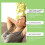 Mullein Leaf Extract Lung Cleanse & Relief Solution NEW! 12