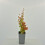 Berberis Orange Ice 1L 2