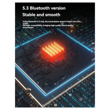Kabellose  V5.3 Ohrhörer Hybrid Active Noise Cancelling ENC ANC Ohrhörer für Laptop Pad Android/IOS Telefone Schwarz