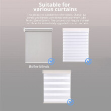 WiFi Roller Shade Blinds Motor Plug-in for 17mm/20mm/25mm/28mmmm Tube Curtain Tubular Motor EU Plug Motor with R9