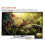 4K 60HZ Type-c to  DP Adapter Cable Laptap Computer Cellphone Cast Display Panel Cable For  Laptop PC TV 5