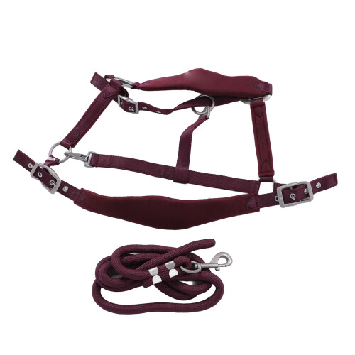 Ensemble licol et longe pour cheval 2 m, taille M, rouge vin