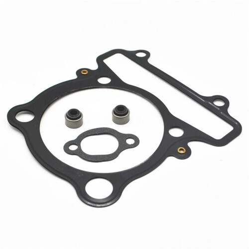 Jeu de Joints Complet pour   -Raptor 350  Bear YFM350