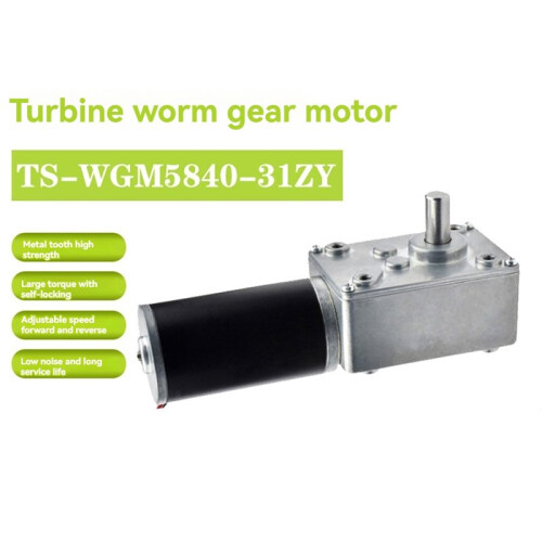 5840-31ZY Turbo Worm Encoder Micro- Reduction Motor Self Locking Speed Control Motor Pequeno 24V 12RPM 2