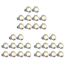 30PCS Reptile Lamp Bulb Turtle Basking UV Light Bulbs Heating Light Full Spectrum Sunlamp for Amphibians,50W