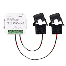 Contatore di Energia Bidirezionale Tuya WiFi Monofase con Allarme di Sovraccarico con Cicalino, Monitoraggio 'App, Energia Solare Prodotta e