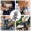 Universal Rain Cover for Pushchair Stroller Buggy 4