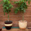 Plant Pot Grid Protector - 11.8" Cuttable Soil Guard Cover, 2 Pcs Digging Stoppe 4