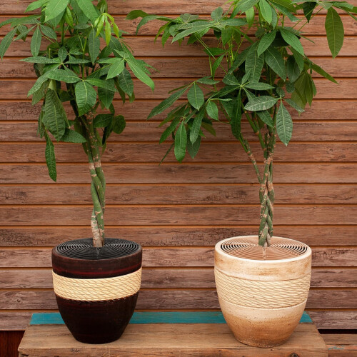Plant Pot Grid Protector  118 Cuttable Soil Guard Cover 2 Pcs Digging 2