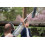 RØDE Boompole Pro Ultra-lightweight Professional Boompole 2