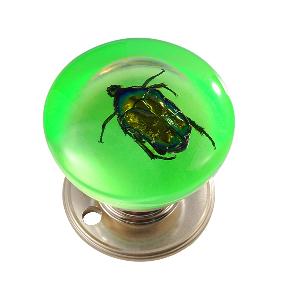 (Chafer) Creative Resin Ball Cabinet Knobs For Drawers & Closets 6017806749150