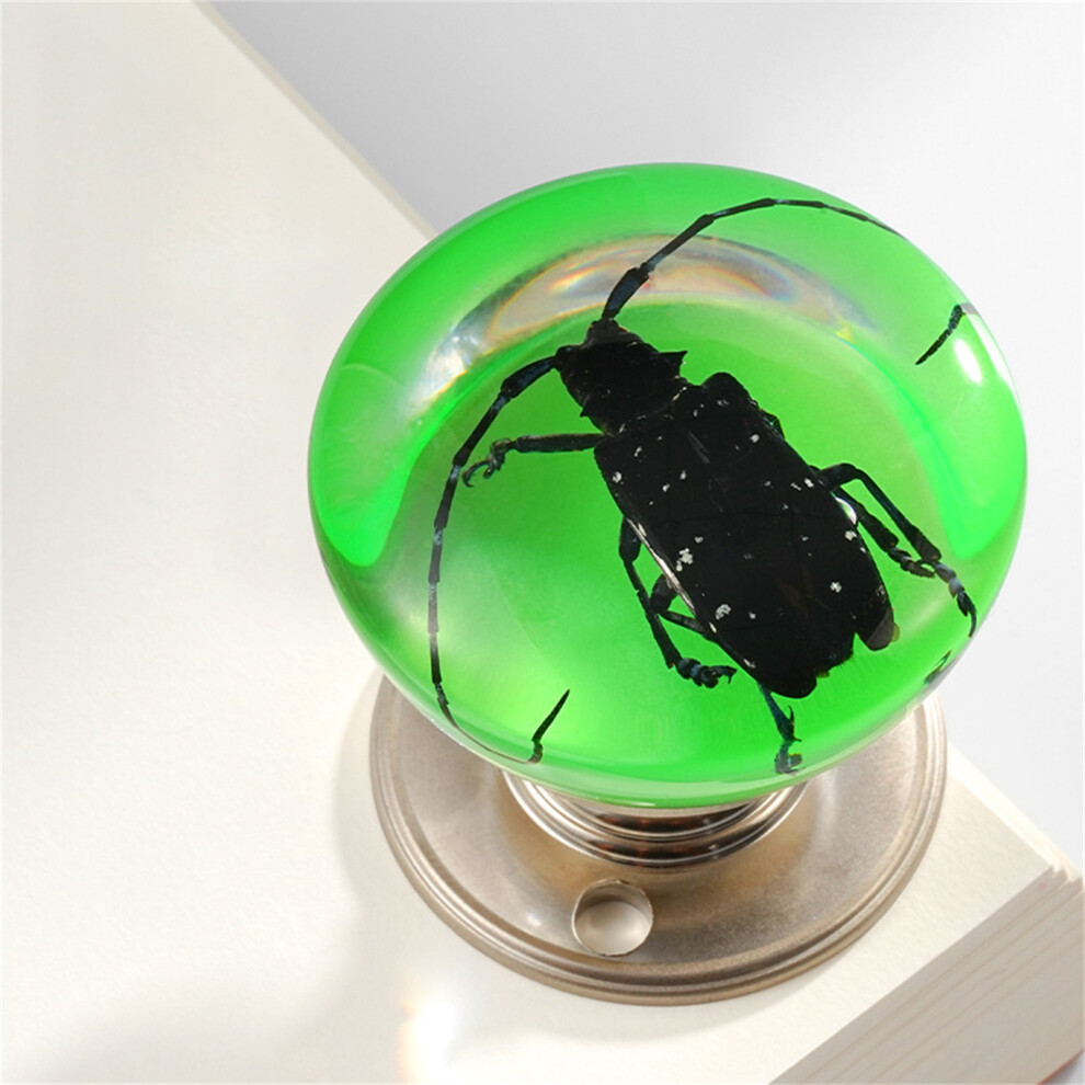 (Tianniu) Creative Resin Ball Cabinet Knobs For Drawers & Closets 6017806749167