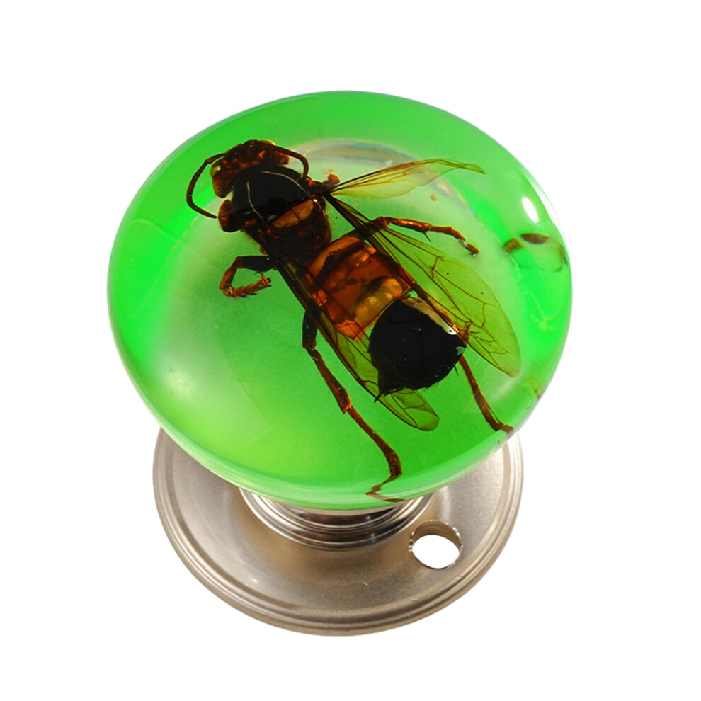 (Wasp) Creative Resin Ball Cabinet Knobs For Drawers & Closets 6017806749174