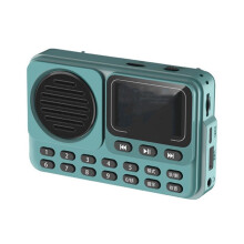 Portable FM Radio LED Display Radios Receiver Wireless Speaker HD Recorder Support Timed