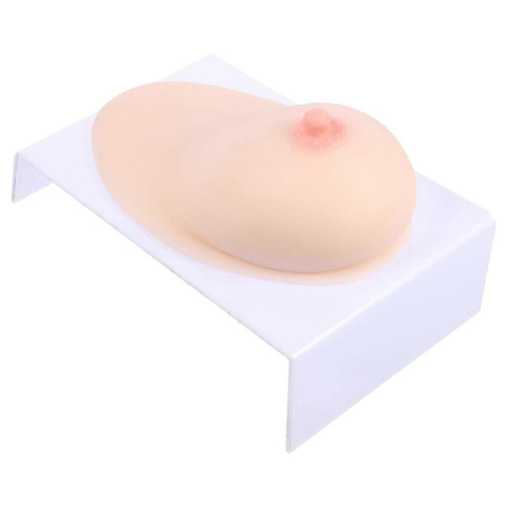 Human Female Silicone Breast Silicone Women Breast Model Lactagogue Breastfeeding Educational Tool for Lactation Teaching Nursing Trainning