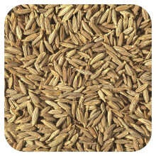 Starwest Botanicals Semințe de Cimbru Organic, 1 lb (453,6 g)