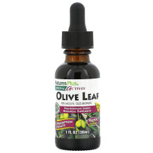 NaturesPlus, Attività Erboristiche, Foglie di Olivo, Senza Alcol, 1 fl oz (30 ml)