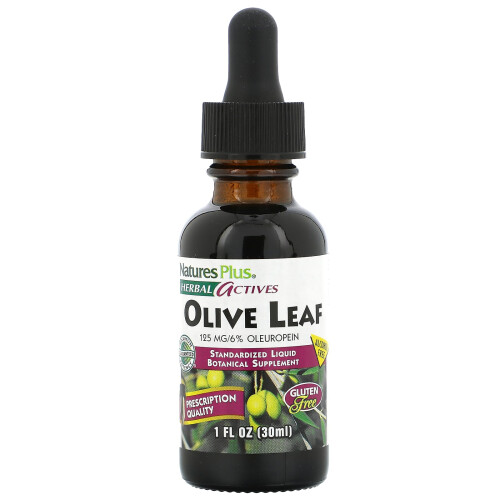 NaturesPlus, Herbal Actives, Olive Leaf, Alcohol Free, 1 fl oz (30 ml)