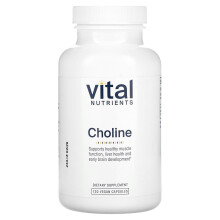 Vital Nutrients, Choline, 120 Vegan Kapsler (275 mg per Kapsel)