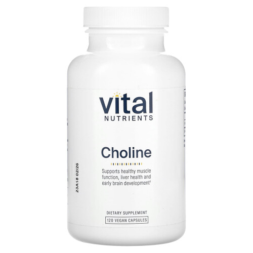 Vital Nutrients Vital Nutrients, Χολίνη, 120 Βέγκαν Καψούλες (275 mg ανά Καψούλη)