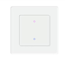 Tuya WiFi Light App Remote Control with for Alexa Home Route 2 Gang
