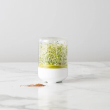 Germination Jar Kit for Garden Root Growth