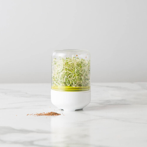 Germination Jar Kit for Garden Root Growth