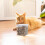 Katzensnacks Getrocknet Hühnchen Schweineleber Eigelb Mix 6