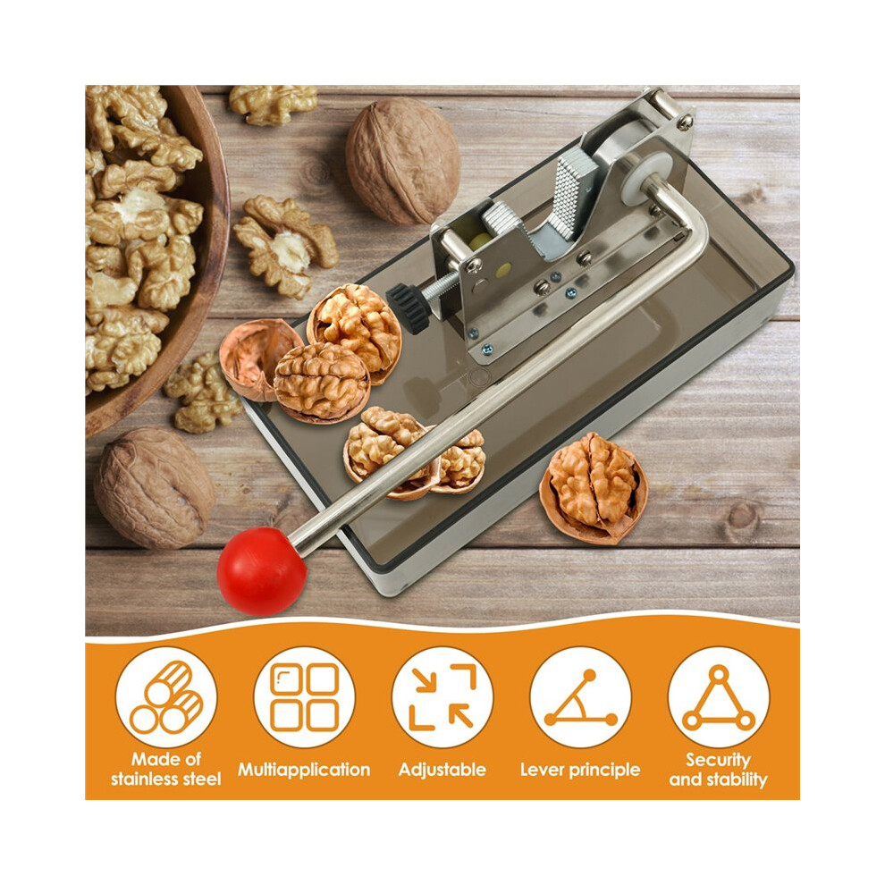 Nut Cracker For Almond Hazelnut Chestnut, Stainless Steel Nut Opener Nutcracker Tool Pecan Cracker Walnut Cracker Plier 6031244173186